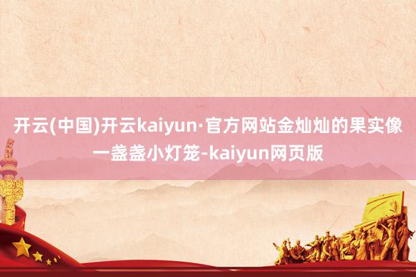 开云(中国)开云kaiyun·官方网站金灿灿的果实像一盏盏小灯笼-kaiyun网页版