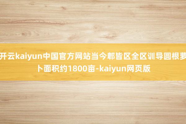 开云kaiyun中国官方网站当今郫皆区全区训导圆根萝卜面积约1800亩-kaiyun网页版